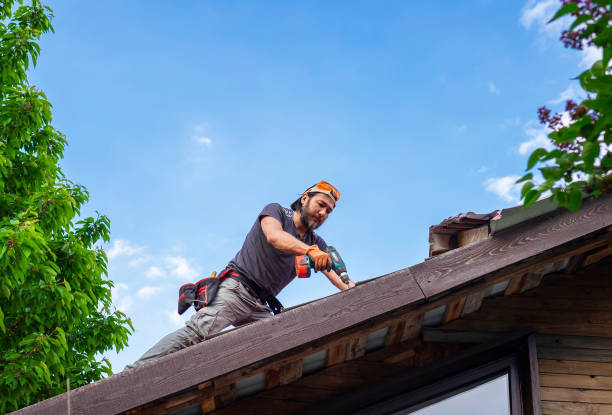 Best Roof Insulation Installation  in Travelers Rest, SC