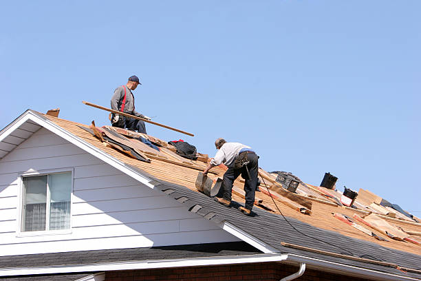Best Roof Maintenance and Cleaning  in Travelers Rest, SC